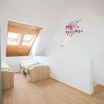 Podkoren