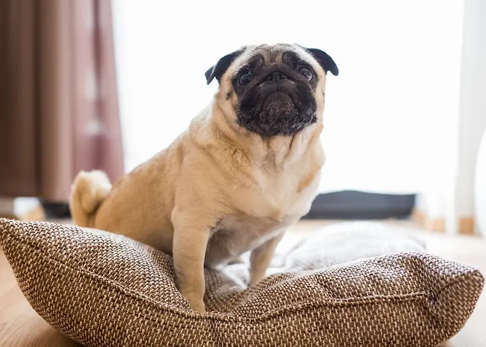 Podkoren Kranjska Gora